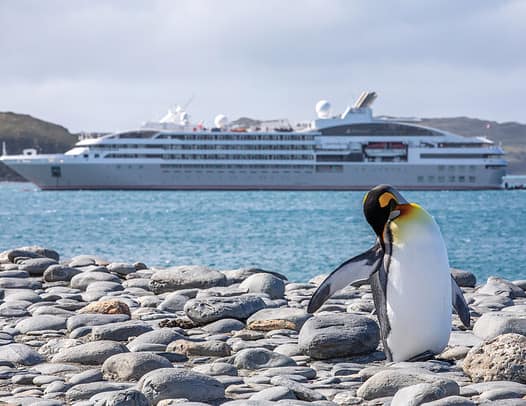 Utopian Adventures + A&K - Expedition Cruise Ship and Penguins