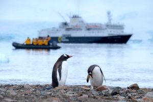Embark on an Unforgettable Expedition Cruise with Utopian Adventures